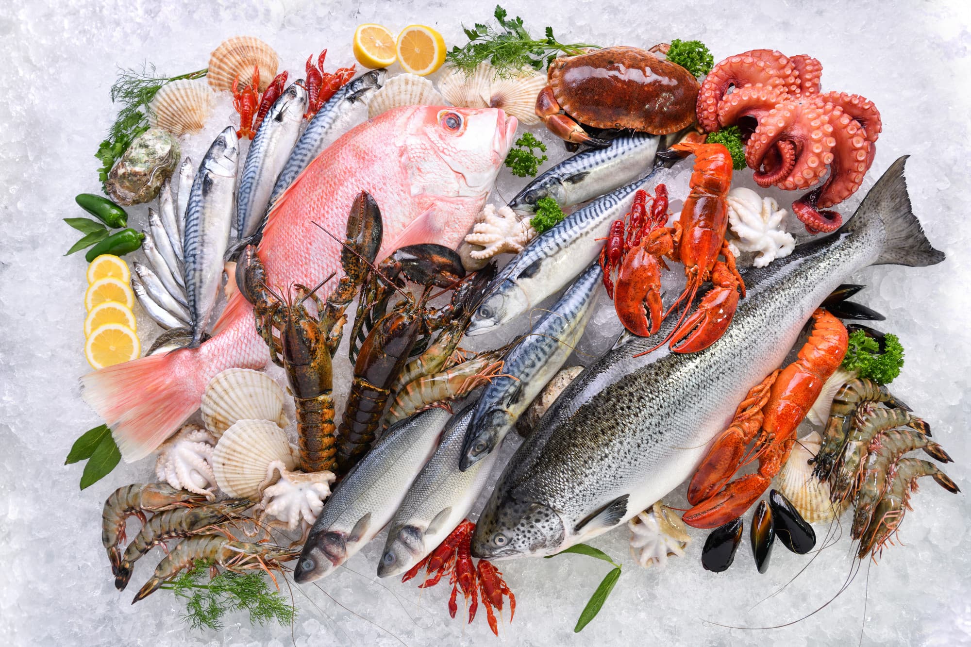Seafood & Marine