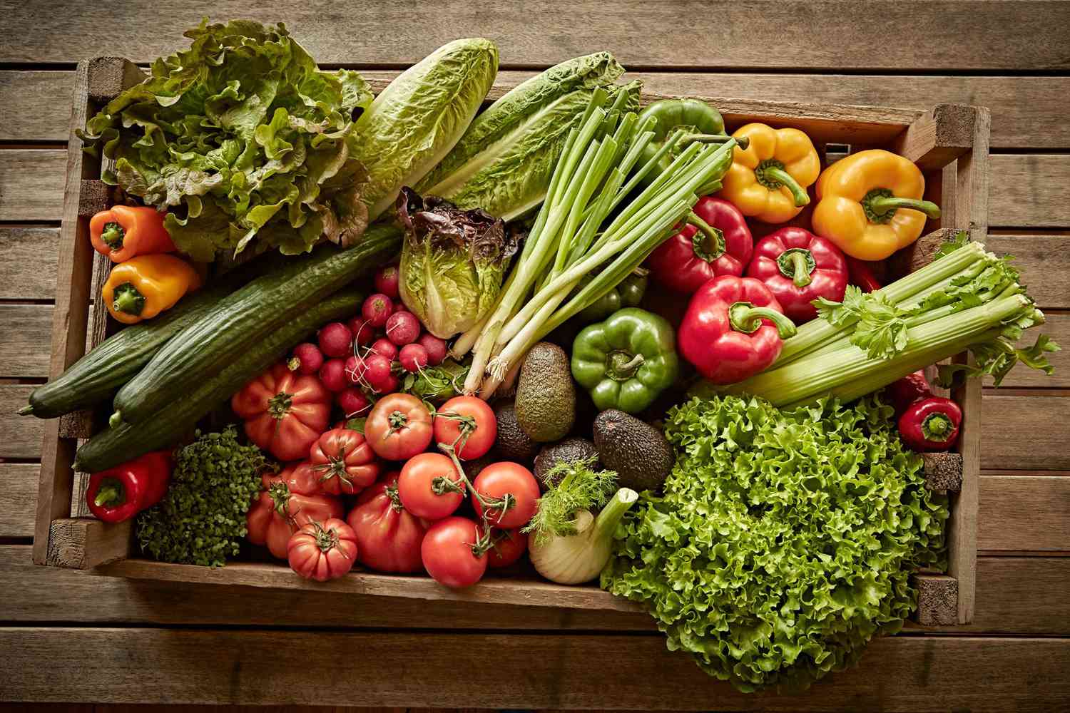Fresh Vegetables